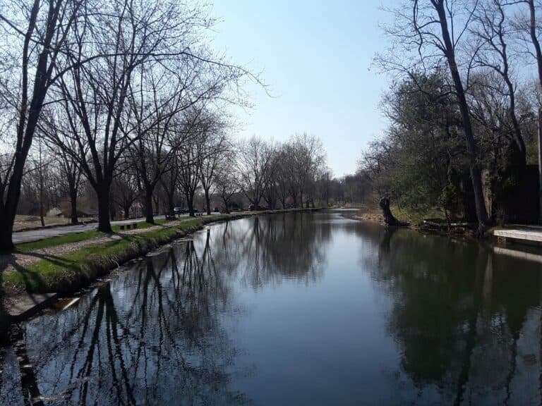 A calm river reflects bare trees under a clear blue sky.