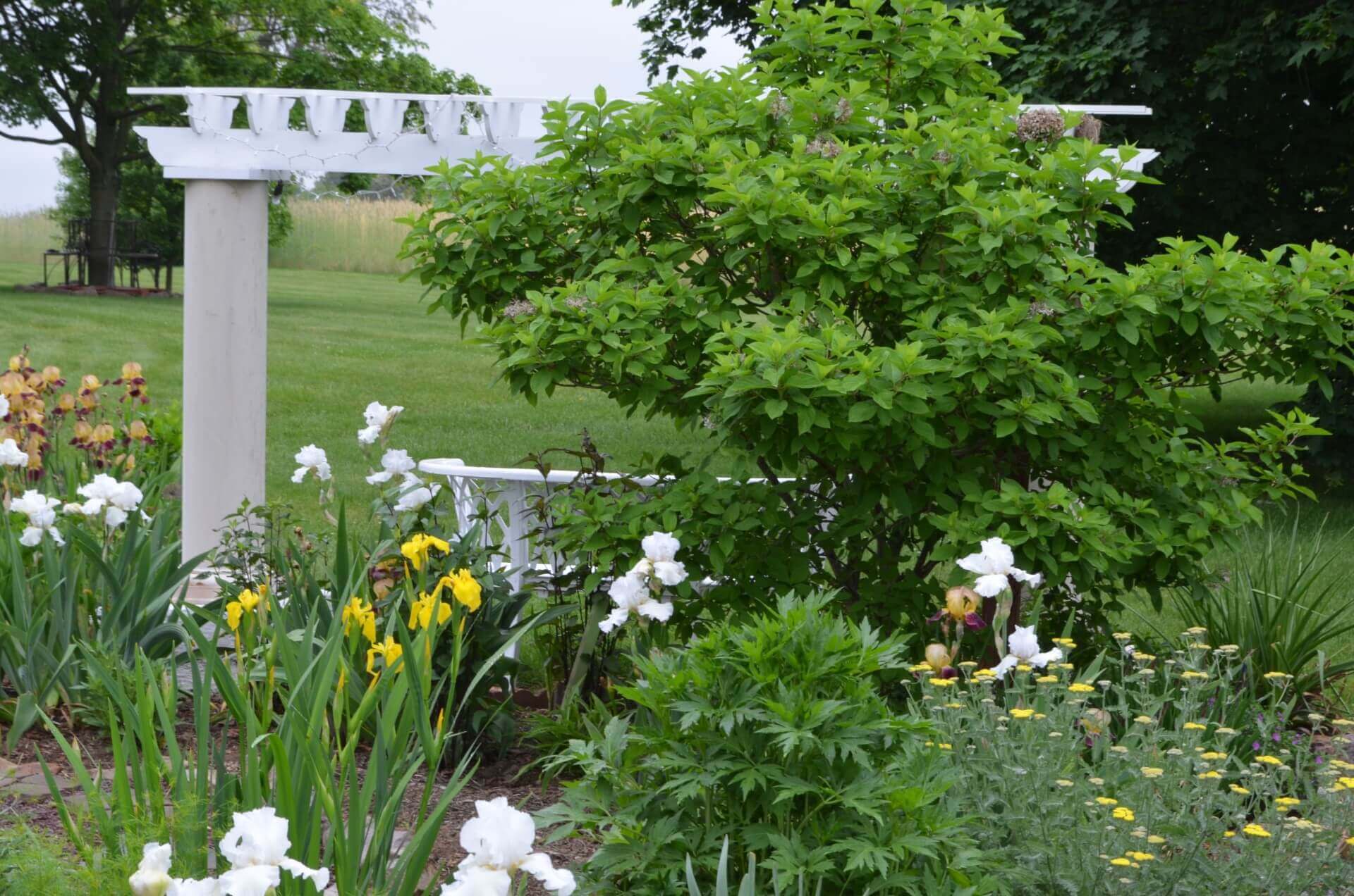 A white garden bench is surrounded by colorful flowers and greenery under a cloudy sky.