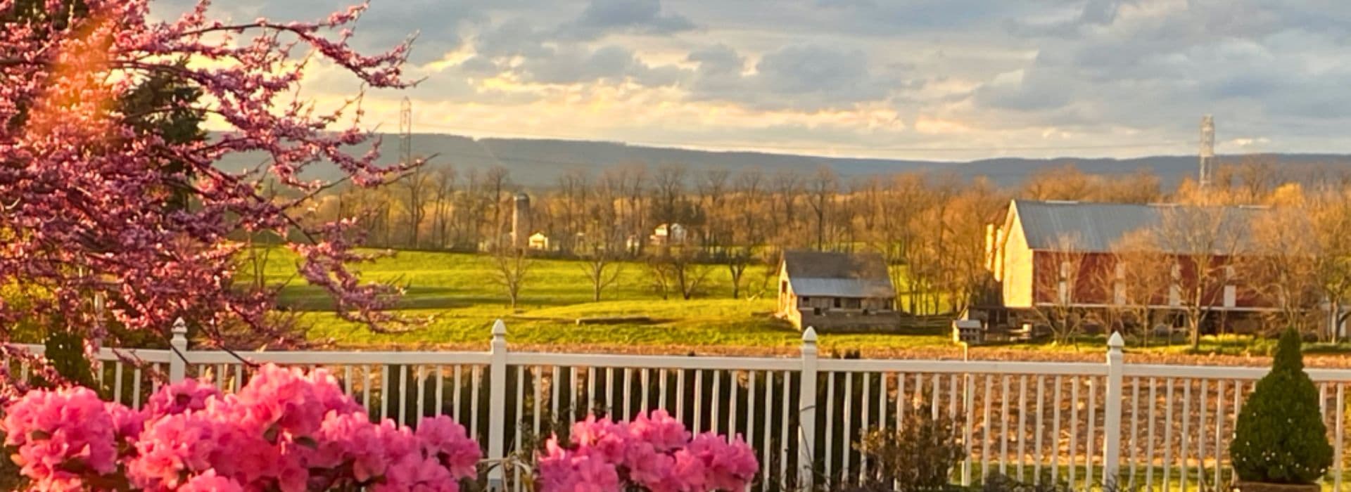 A vibrant landscape featuring blooming flowers, fields, and a rustic barn under a cloudy sunset.