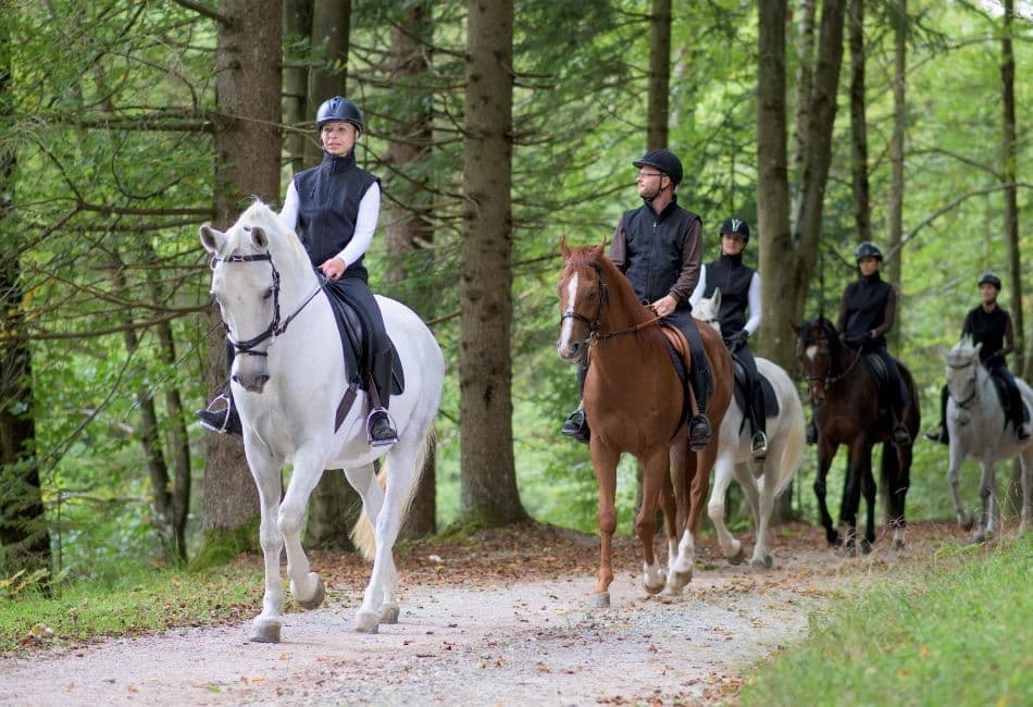 A group of riders on horseback walks along a path in a lush forest.