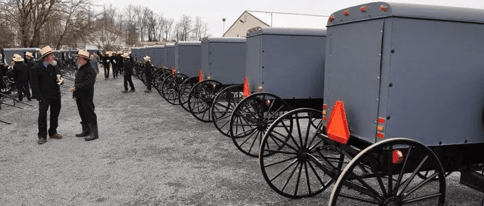 A row of gray horse-drawn buggies parked beside individuals in traditional Amish attire, set against a rural backdrop.