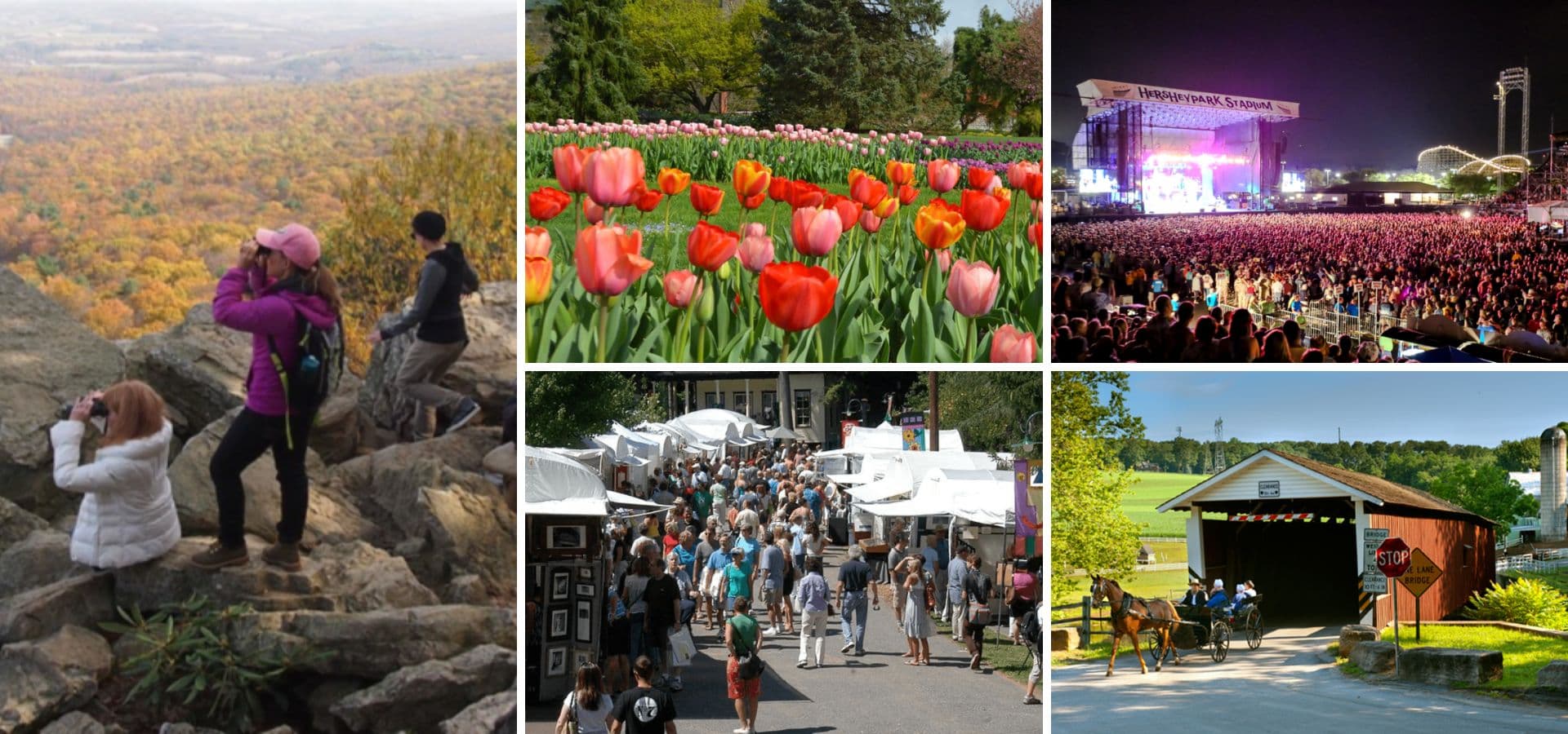 A collage showcasing scenic hikes, vibrant tulip fields, a crowded festival, and a lively market scene.