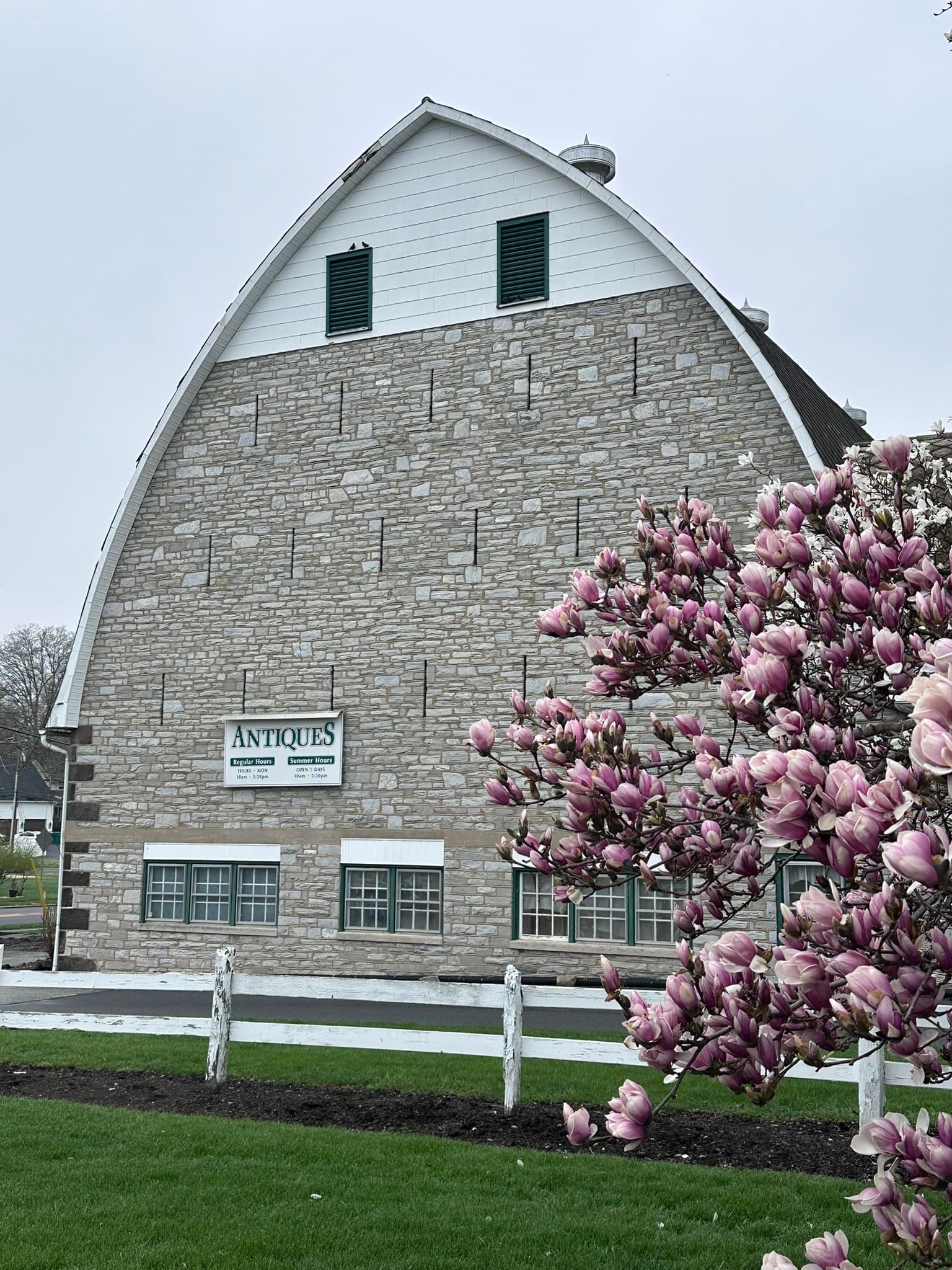 A stone barn featuring a sign for antiques, with pink magnolia flowers in the foreground.