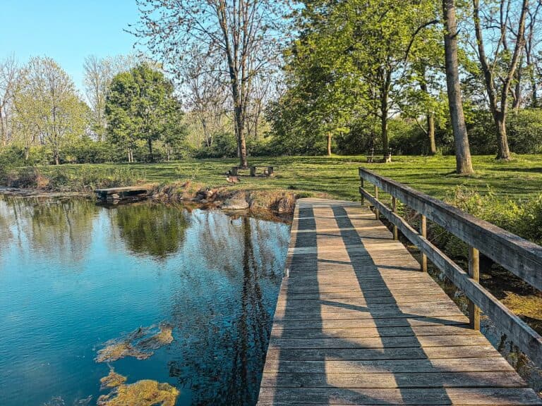 A wooden dock extends over a calm pond surrounded by lush greenery.