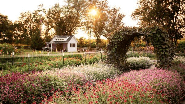 A sunlit garden filled with colorful flowers surrounds a small white house.