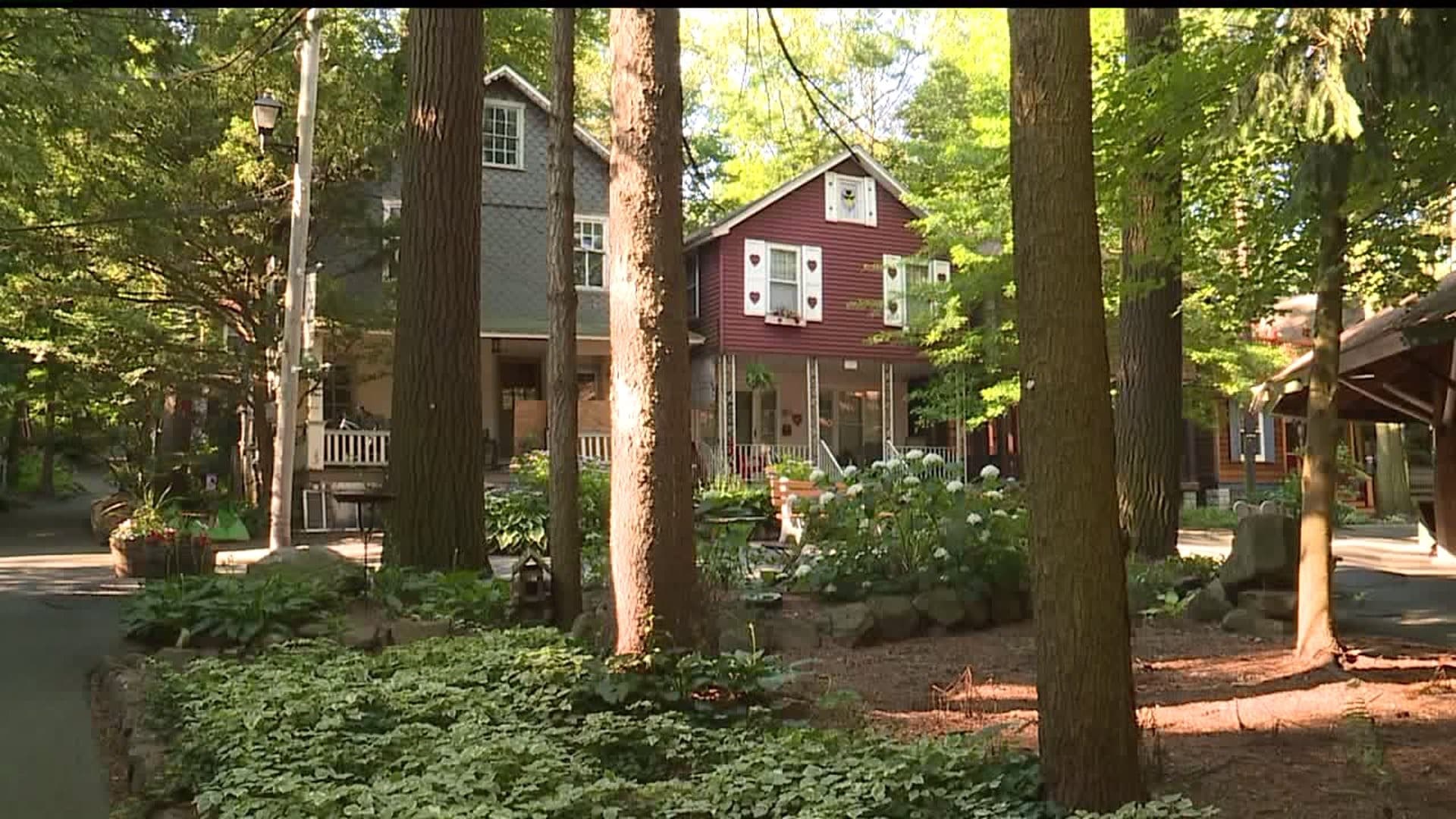 A view of a cozy, two-story house surrounded by lush greenery and tall trees.
