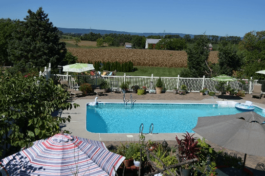 A clear blue swimming pool surrounded by greenery and lounge chairs against a backdrop of farmland.