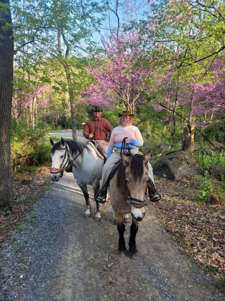Two people on horseback riding along a gravel path surrounded by trees and blooming pink flowers.