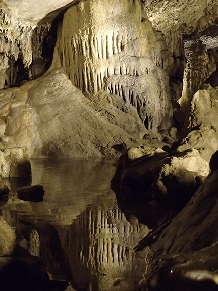 A dimly lit cave interior featuring stalactites and a reflective pool of water.