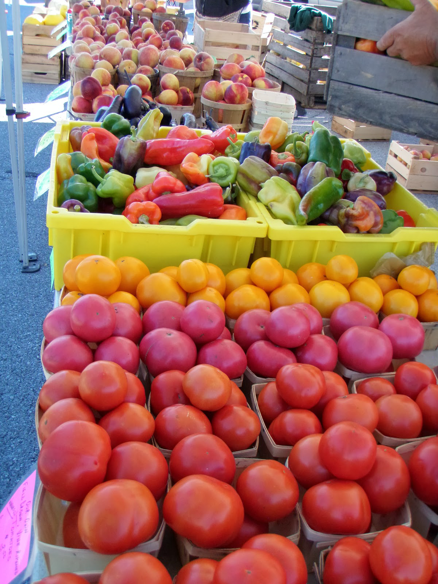 A vibrant assortment of tomatoes and bell peppers displayed at a farmers' market.