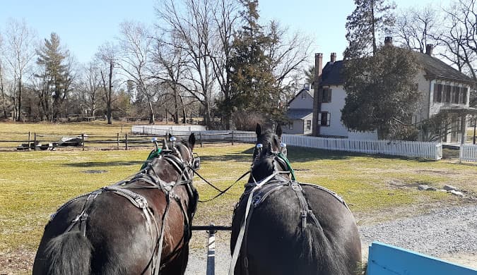 Two harnessed horses view a farmstead on a sunny day.