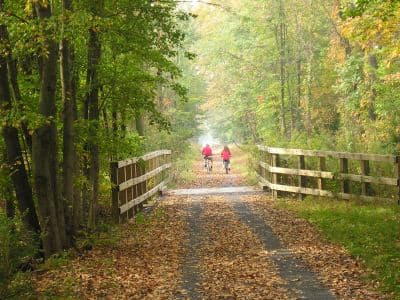Two cyclists ride along a leaf-covered path through a misty forest.