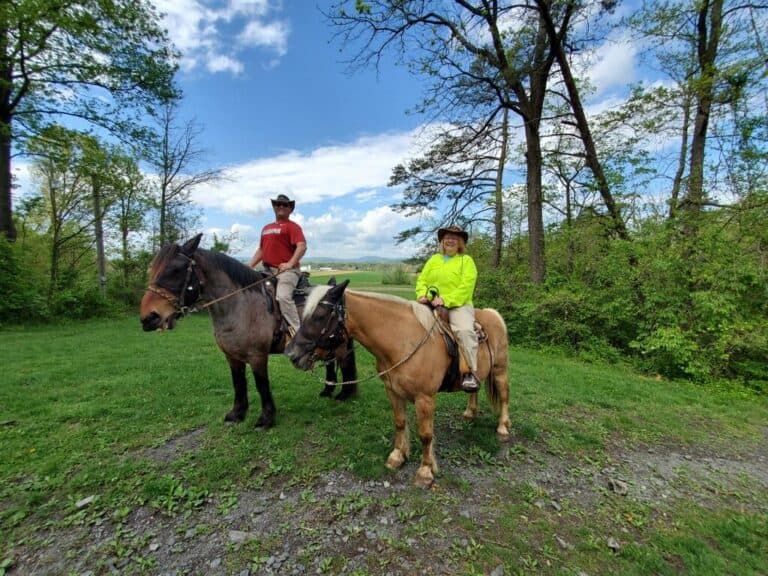 Two riders on horseback pose on a grassy trail surrounded by trees and a blue sky.