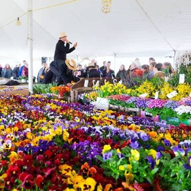 A vibrant flower market with colorful blooms on display and a presenter engaging a crowd under a large tent.