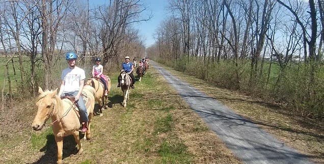 A group of people rides horses along a tree-lined trail on a sunny day.