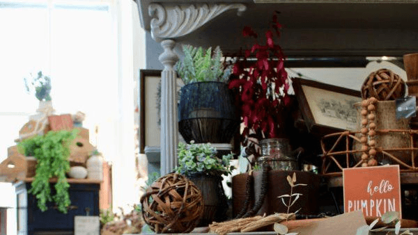 A cozy display of plants, decorative items, and a "Hello Pumpkin" sign.