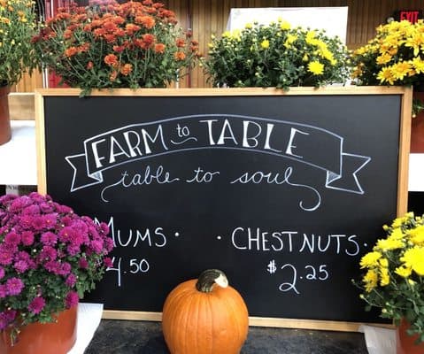 A chalkboard sign displays "Farm to Table" with prices for mums and chestnuts, surrounded by vibrant flowers and a pumpkin.