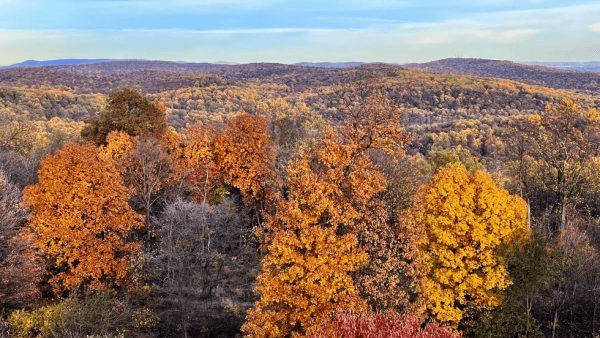 Vibrant autumn foliage covers rolling hills under a clear sky.