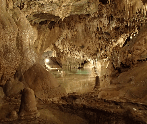 A dimly lit cave interior with stalactites, stalagmites, and a small pool of water.