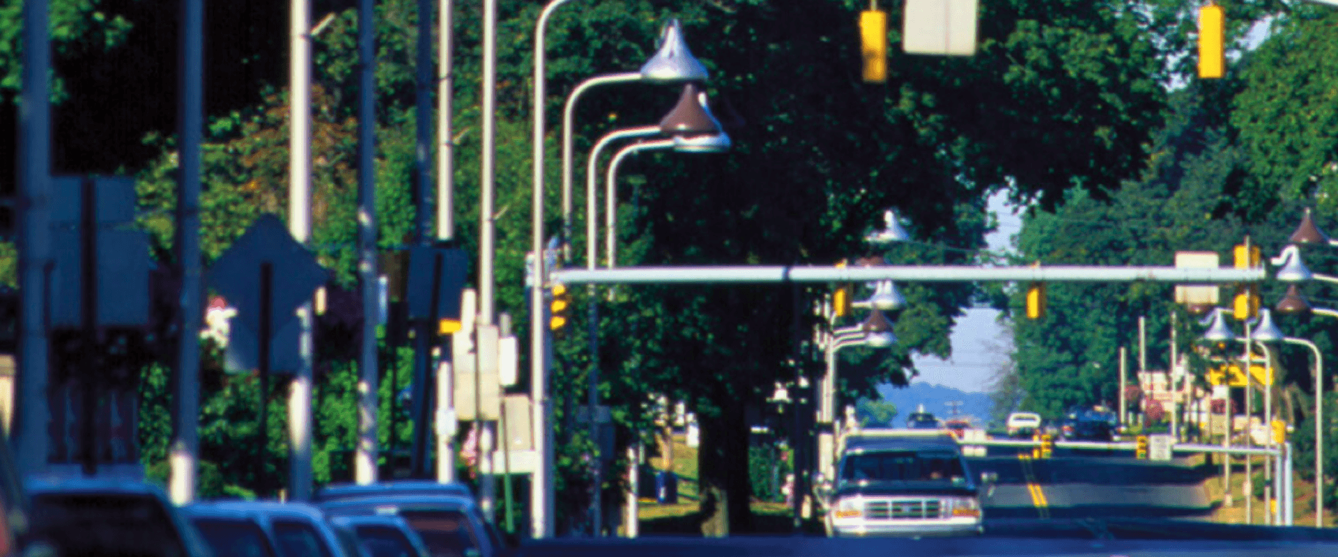 A tree-lined street with traffic signals and parked cars in view.