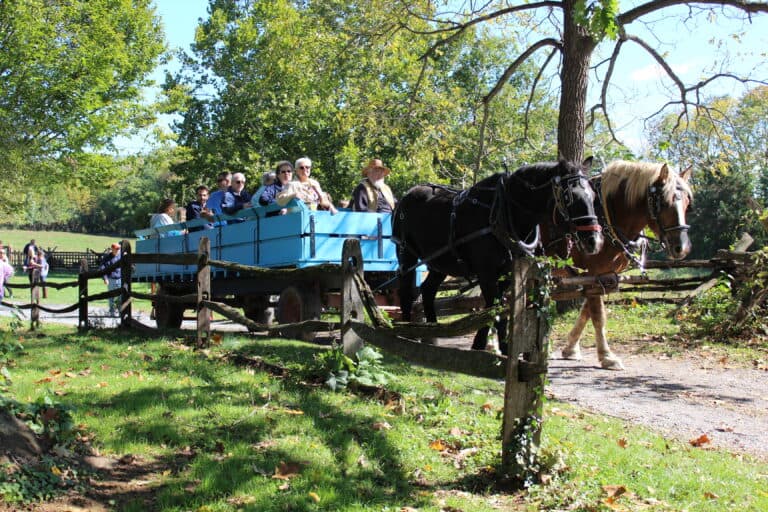 A horse-drawn wagon carries passengers along a rural path surrounded by greenery.