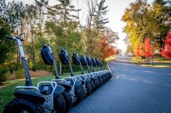 a line of Segway scooters parked alongside road