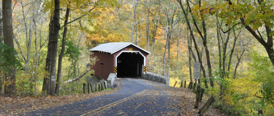 Fall in the forest with a road leading to the entrance of a covered bridge