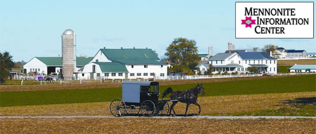 Amish farm with horse and buggy in front