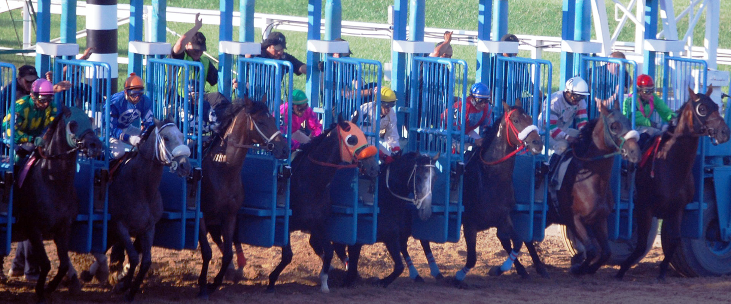 Horses out the gates at Hollywood Casino Racetrack
