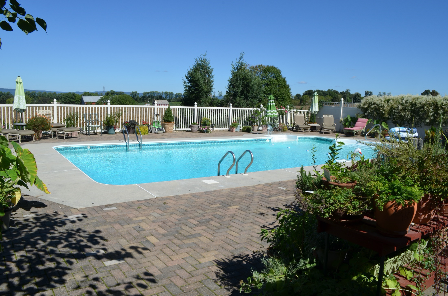 Large swimming pool with big brick deck and surrounded by gardens of potted plants.