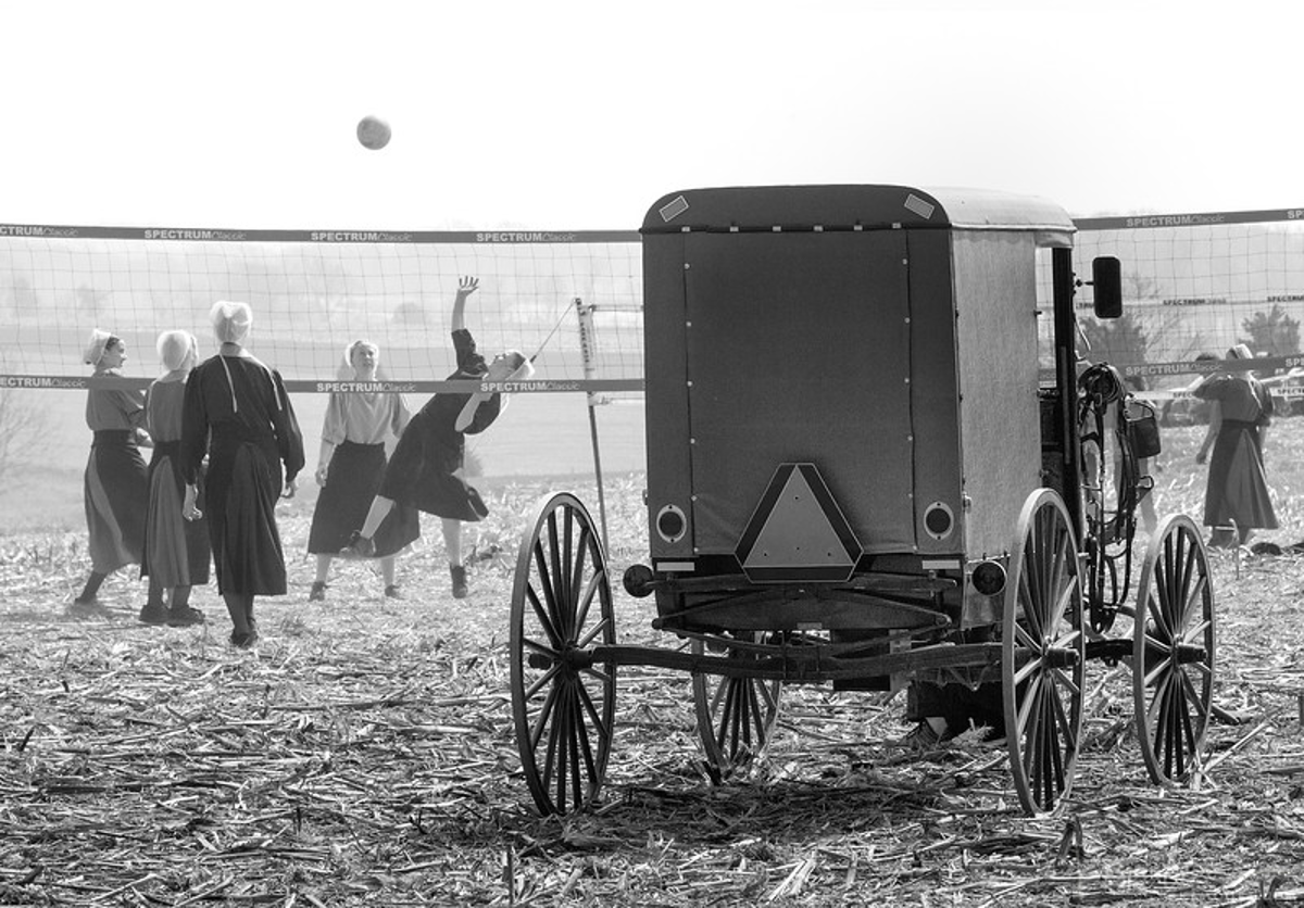 Amish buggy parked at a vollyball court, and girls playing