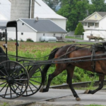 Amish buggy and horse crossing railroad tracks