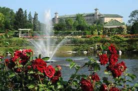 View of roses with a small pond behind them and in the background, the towering building with towers on each end that is Hotel Hershey.