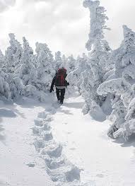 Photo of a person walking in a winter snow