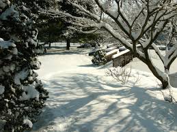 Photo of a bridge covered in snow. 