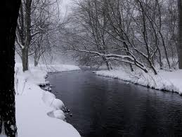 Photo of Quittie Creek in winter.