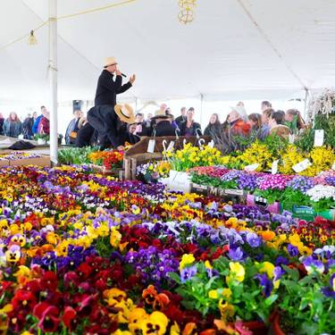 Amish Mud Sales near Annville Inn weekly through March