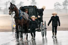 Image of an Amish buggy with children on it