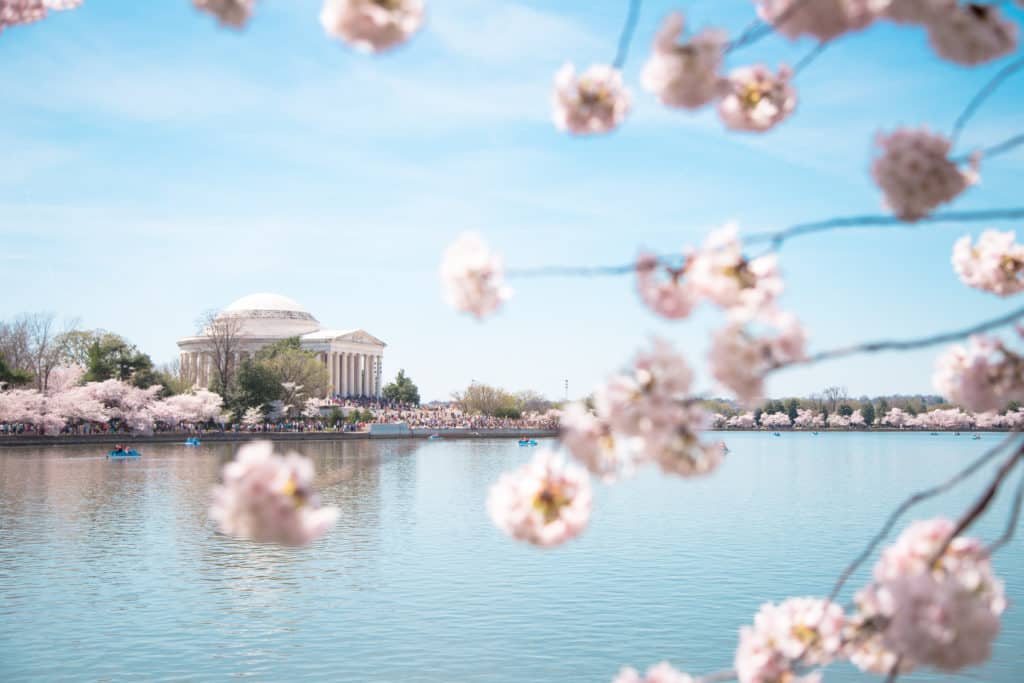 Image of Jefferson Memorial in D.C in spring