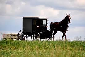 Photo of an Amish horse and buggy