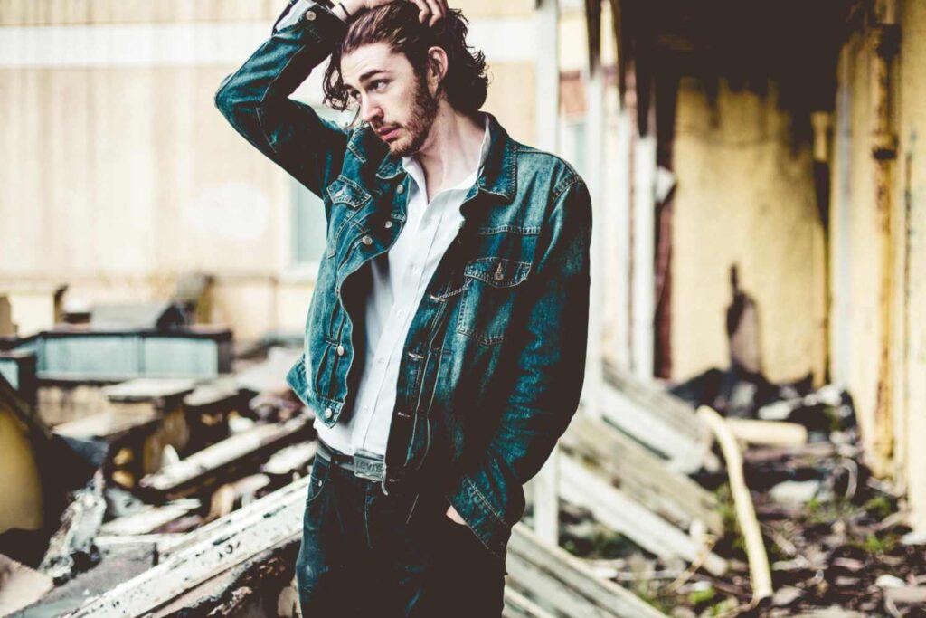 Image of Hozier. Soon to be in concert at Hershey