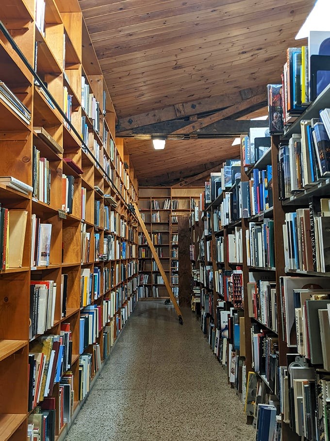 Photo of a row of bookshelves in Midtown Scholar Bookstore.