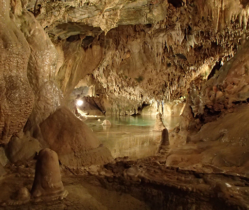 Indian Echo Caverns, the 100 Year Old Living Cave