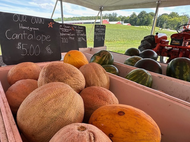 Cantaloupe for sale at Weavers produce. 