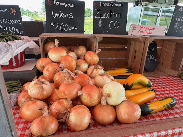 Onions for sale at Weavers Produce.