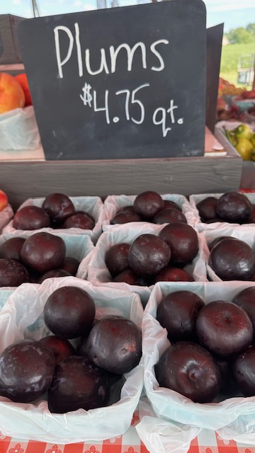 Plums for sale at Weavers Produce.